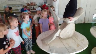 muzeum morskie